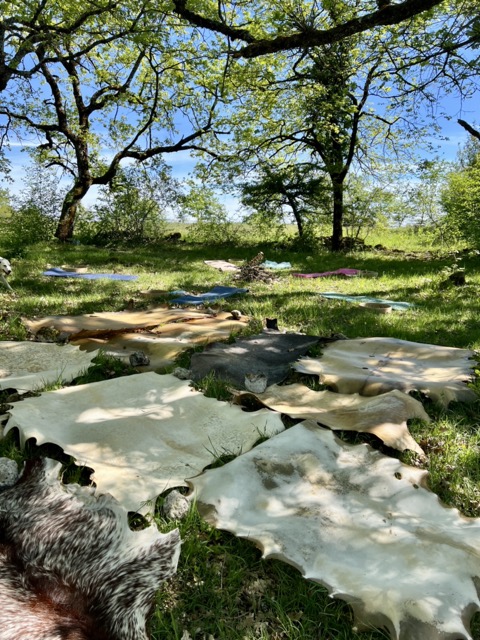 Stage à la ferme