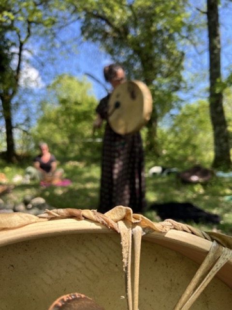Stage à la ferme